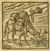 An illustration from Andreae Alciati V.C. Emblemata cvm Clavdii Minois I.C. commentariis ad postremam auctoris editionem auctis & recognitis (1608)