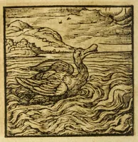 An illustration from Andreae Alciati V.C. Emblemata cvm Clavdii Minois I.C. commentariis ad postremam auctoris editionem auctis & recognitis (1608)