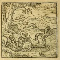 Picture 13 of 17 from Andreae Alciati V.C. Emblemata cvm Clavdii Minois I.C. commentariis ad postremam auctoris editionem auctis & recognitis (1608), leaf 184