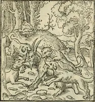 An illustration from Andreae Alciati emblematvm libellvs (1536)