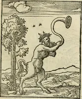 Picture 107 of 116 from Andreae Alciati emblematvm libellvs (1536), leaf 116