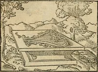 An illustration from Andreae Alciati emblematvm libellvs (1536)