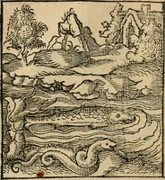 Picture 12 of 116 from Andreae Alciati emblematvm libellvs (1536), leaf 19