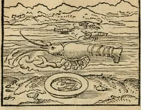 An illustration from Andreae Alciati emblematvm libellvs (1536)