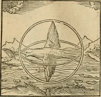 Picture 35 of 116 from Andreae Alciati emblematvm libellvs (1536), leaf 42