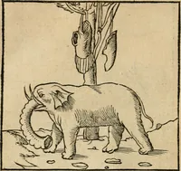 An illustration from Andreae Alciati emblematvm libellvs (1536)