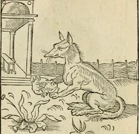 An illustration from Andreae Alciati emblematvm libellvs (1536)