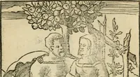 An illustration from Andreae Alciati emblematvm libellvs (1536)