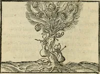 An illustration from Andreae Alciati emblematvm libellvs (1536)
