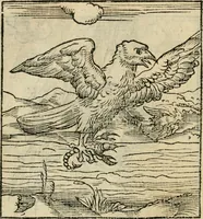 An illustration from Andreae Alciati emblematvm libellvs (1536)