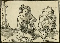 Picture 84 of 116 from Andreae Alciati emblematvm libellvs (1536), leaf 91