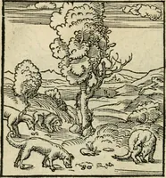 An illustration from Andreae Alciati emblematvm libellvs (1536)