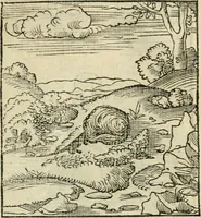 Picture 89 of 116 from Andreae Alciati emblematvm libellvs (1536), leaf 96