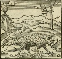 Picture 91 of 116 from Andreae Alciati emblematvm libellvs (1536), leaf 98