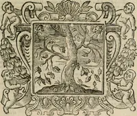An illustration from Andreae Alciati Emblemata cum commentariis Claudii Minois I.C. Francisci Sanctii Brocensis, & notis Laurentij Pignorij Patavini : nouissima hac editione in continuam vnius commentarij seriem congestis, in certas quasdam quasi classes dispositis, & plusquam dimidia parte auctis (1661)