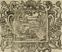 An illustration from Andreae Alciati Emblemata cum commentariis Claudii Minois I.C. Francisci Sanctii Brocensis, & notis Laurentij Pignorij Patavini : nouissima hac editione in continuam vnius commentarij seriem congestis, in certas quasdam quasi classes dispositis, & plusquam dimidia parte auctis (1661)