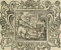 An illustration from Andreae Alciati Emblemata cum commentariis Claudii Minois I.C. Francisci Sanctii Brocensis, & notis Laurentij Pignorij Patavini : nouissima hac editione in continuam vnius commentarij seriem congestis, in certas quasdam quasi classes dispositis, & plusquam dimidia parte auctis (1661)