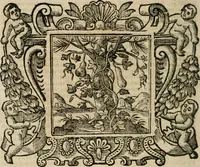 An illustration from Andreae Alciati Emblemata cum commentariis Claudii Minois I.C. Francisci Sanctii Brocensis, & notis Laurentij Pignorij Patavini : nouissima hac editione in continuam vnius commentarij seriem congestis, in certas quasdam quasi classes dispositis, & plusquam dimidia parte auctis (1661)
