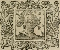 An illustration from Andreae Alciati Emblemata cum commentariis Claudii Minois I.C. Francisci Sanctii Brocensis, & notis Laurentij Pignorij Patavini : nouissima hac editione in continuam vnius commentarij seriem congestis, in certas quasdam quasi classes dispositis, & plusquam dimidia parte auctis (1661)