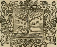 An illustration from Andreae Alciati Emblemata cum commentariis Claudii Minois I.C. Francisci Sanctii Brocensis, & notis Laurentij Pignorij Patavini : nouissima hac editione in continuam vnius commentarij seriem congestis, in certas quasdam quasi classes dispositis, & plusquam dimidia parte auctis (1661)