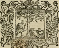 An illustration from Andreae Alciati Emblemata cum commentariis Claudii Minois I.C. Francisci Sanctii Brocensis, & notis Laurentij Pignorij Patavini : nouissima hac editione in continuam vnius commentarij seriem congestis, in certas quasdam quasi classes dispositis, & plusquam dimidia parte auctis (1661)