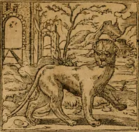 An illustration from Andreae Alciati i.v.c. emblemata (1614)