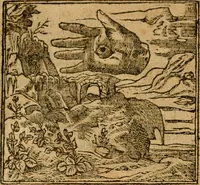 Picture 28 of 272 from Andreae Alciati i.v.c. emblemata (1614), leaf 125