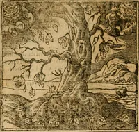 An illustration from Andreae Alciati i.v.c. emblemata (1614)