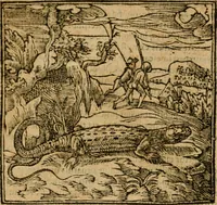 Picture 73 of 272 from Andreae Alciati i.v.c. emblemata (1614), leaf 247