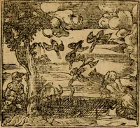 An illustration from Andreae Alciati i.v.c. emblemata (1614)