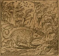 An illustration from Andreae Alciati i.v.c. emblemata (1614)