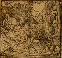 An illustration from Andreae Alciati i.v.c. emblemata (1614)