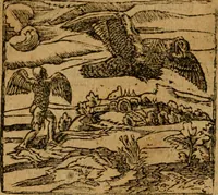 An illustration from Andreae Alciati i.v.c. emblemata (1614)