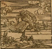 An illustration from Andreae Alciati i.v.c. emblemata (1614)