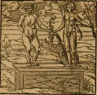 Picture 139 of 272 from Andreae Alciati i.v.c. emblemata (1614), leaf 391