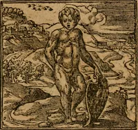 Picture 155 of 272 from Andreae Alciati i.v.c. emblemata (1614), leaf 438