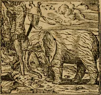 An illustration from Andreae Alciati i.v.c. emblemata (1614)