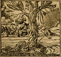 An illustration from Andreae Alciati i.v.c. emblemata (1614)