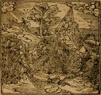 Picture 172 of 272 from Andreae Alciati i.v.c. emblemata (1614), leaf 499