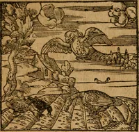 An illustration from Andreae Alciati i.v.c. emblemata (1614)