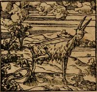 An illustration from Andreae Alciati i.v.c. emblemata (1614)