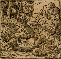 An illustration from Andreae Alciati i.v.c. emblemata (1614)