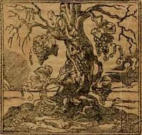 Picture 212 of 272 from Andreae Alciati i.v.c. emblemata (1614), leaf 596