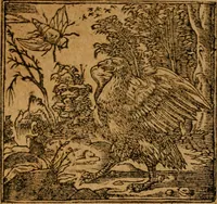 Picture 221 of 272 from Andreae Alciati i.v.c. emblemata (1614), leaf 621