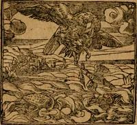 Picture 227 of 272 from Andreae Alciati i.v.c. emblemata (1614), leaf 633