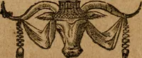 Picture 230 of 272 from Andreae Alciati i.v.c. emblemata (1614), leaf 640