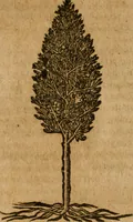 Picture 257 of 272 from Andreae Alciati i.v.c. emblemata (1614), leaf 723