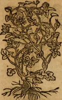 An illustration from Andreae Alciati i.v.c. emblemata (1614)