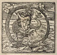 An illustration from Andreae Alciati v.c. Emblemata (1600)