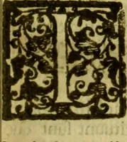 An illustration from Andreae Argoli ... Ephemerides annorum L iuxta Tychonis hypotheses : et accuratè e coelo deductas observationes, ab anno 1630 ad annum 1680 (1638)